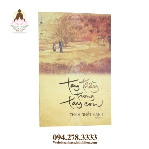 TAY THẦY TRONG TAY CON - THÍCH NHẤT HẠNH