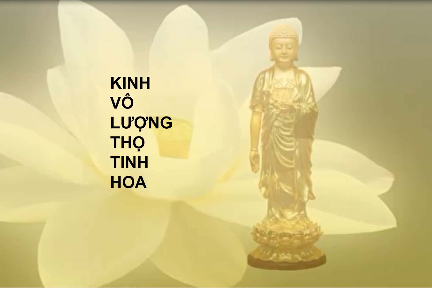 Kinh vô lượng thọ tinh hoa - Tập 22